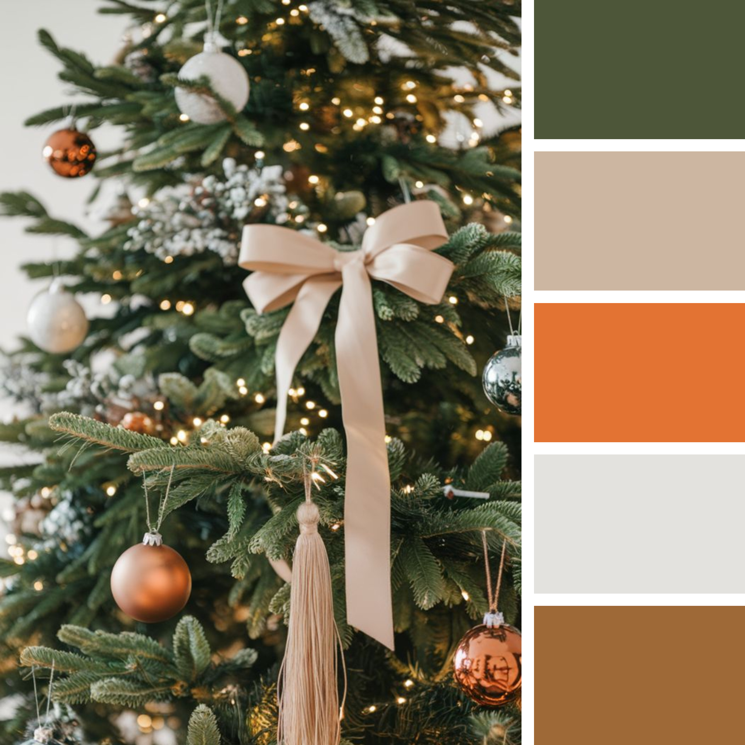 Saules pieva kaledine seimos fotosesija spalvos